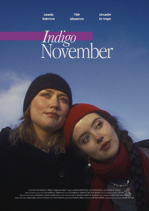 Movie poster for November (2025)
