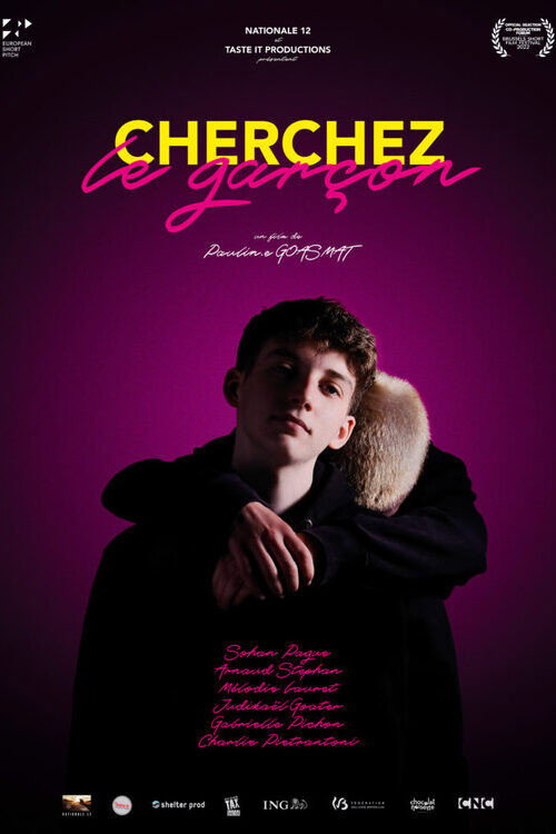 Movie poster for Cherchez le garçon (2024)
