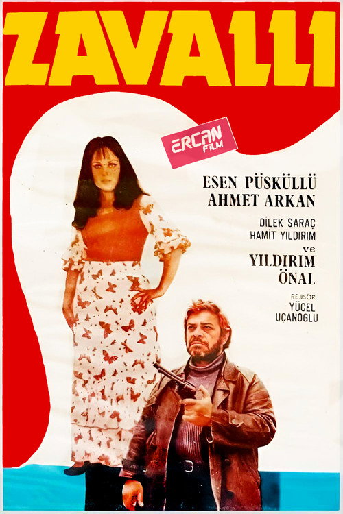 Movie poster for Zavallı (1974)