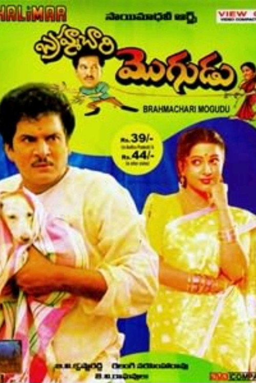 Movie poster for Brahmachari Mogudu (1994)