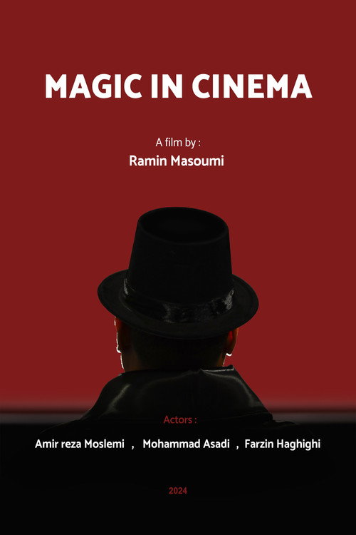 Movie poster for Magic in cinema (2024)
