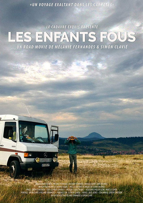 Movie poster for Les enfants fous (2017)