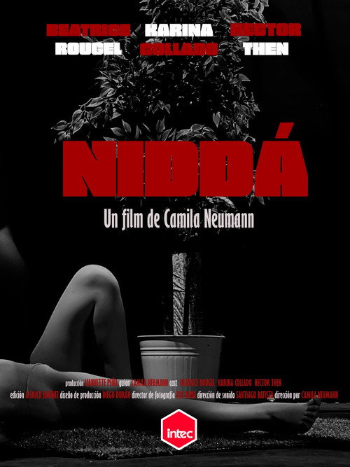Movie poster for Niddá