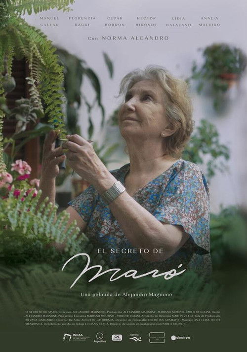 Movie poster for Maro’s Secret (2021)