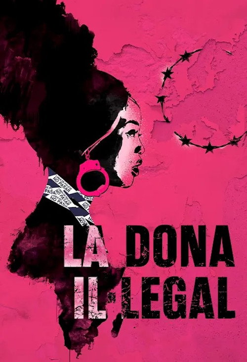 Movie poster for Illegal Woman (2020)