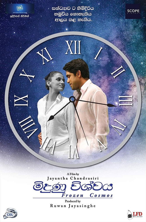 Movie poster for Frozen Cosmos (2023)