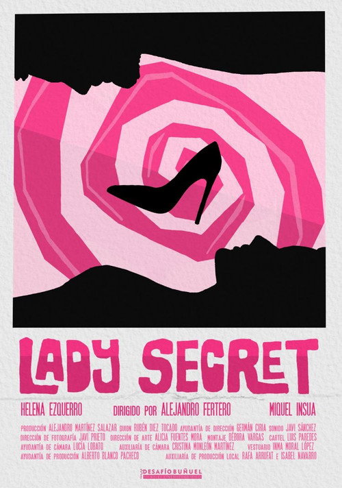 Movie poster for Lady Secret (2024)