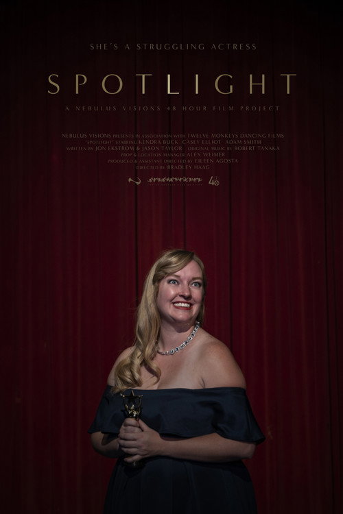 Movie poster for Spotlight (2020)