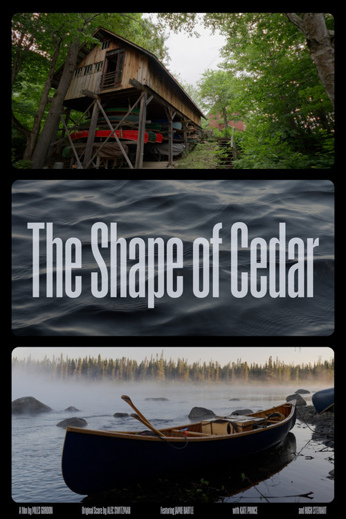 Movie poster for The Shape of Cedar