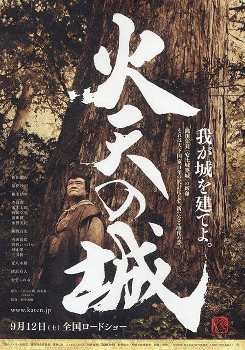 Movie poster for Castle Under Fiery Skies (2009)