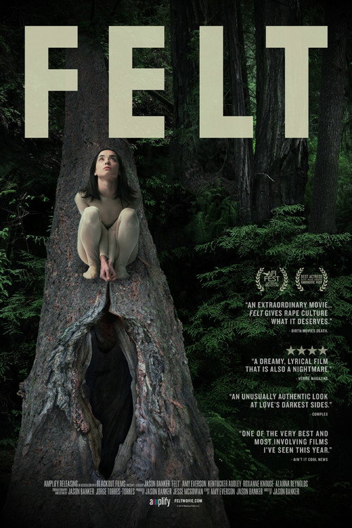 Movie poster for Felt (2014)