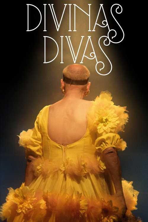 Movie poster for Divine Divas (2016)