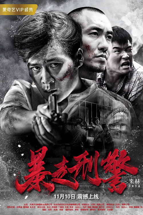 Movie poster for The Stampede Detectives (2017)