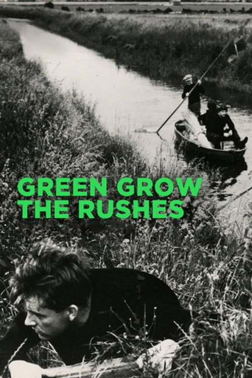 Movie poster for Green Grow the Rushes (1951)