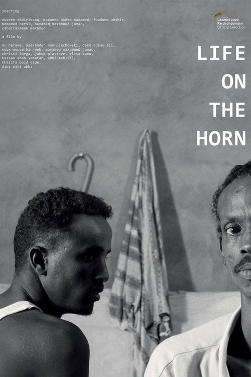 Movie poster for Life on the Horn (2020)