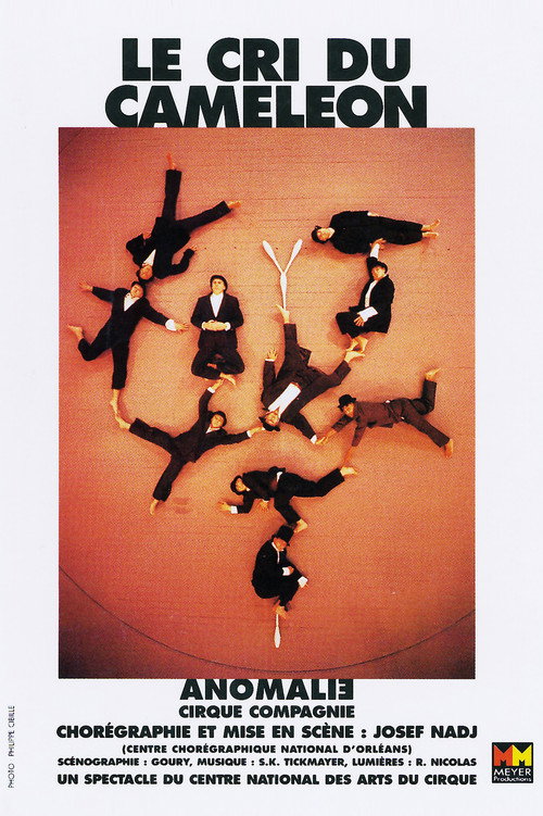 Movie poster for Le Cri du Caméléon (1997)