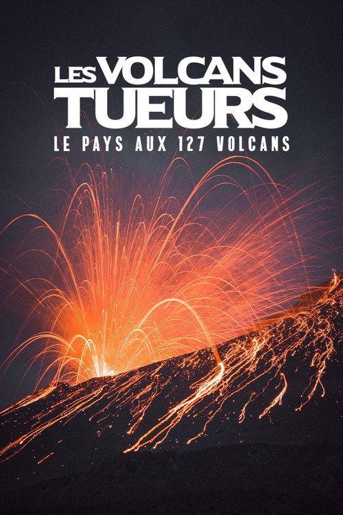 Movie poster for Les volcans tueurs : le pays aux 127 volcans (2018)