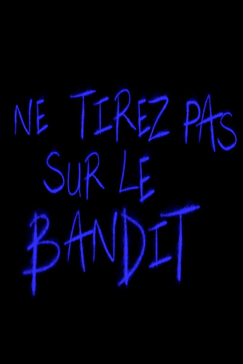 Movie poster for Ne tirez pas sur le bandit (2023)