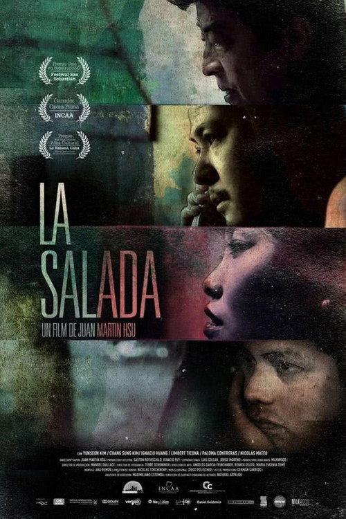 Movie poster for La Salada (2014)