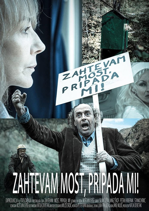 Movie poster for I Demand a Bridge, I am Entitled to It! (2014)