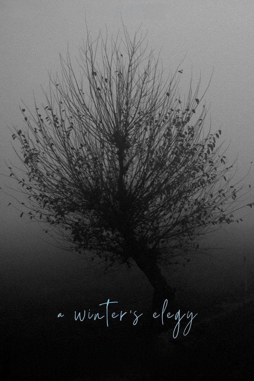 Movie poster for A Winter’s Elegy (2022)