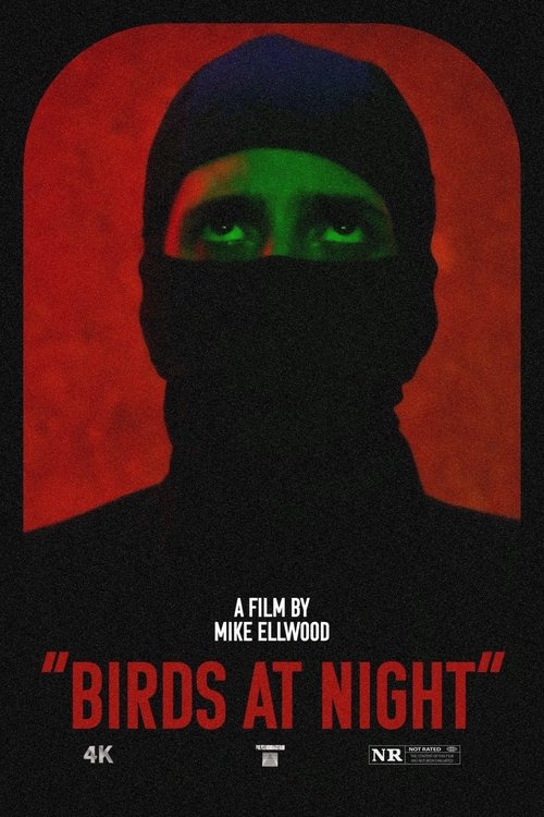 Movie poster for Birds at Night (2024)