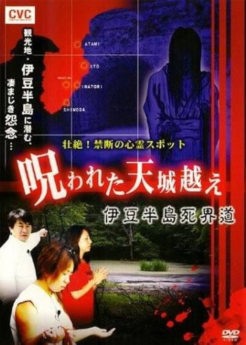 Movie poster for Intense! Forbidden Haunted Spots - The Cursed Crossing of Mount Amagi: Izu Peninsula Death Realm Road (2008)