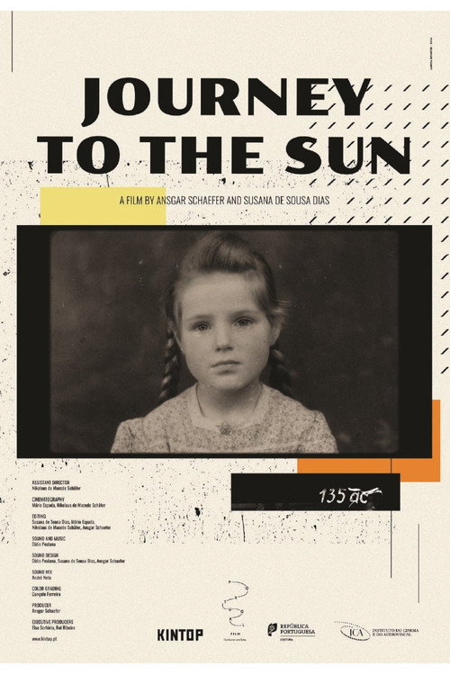 Movie poster for Journey to the Sun (2021)