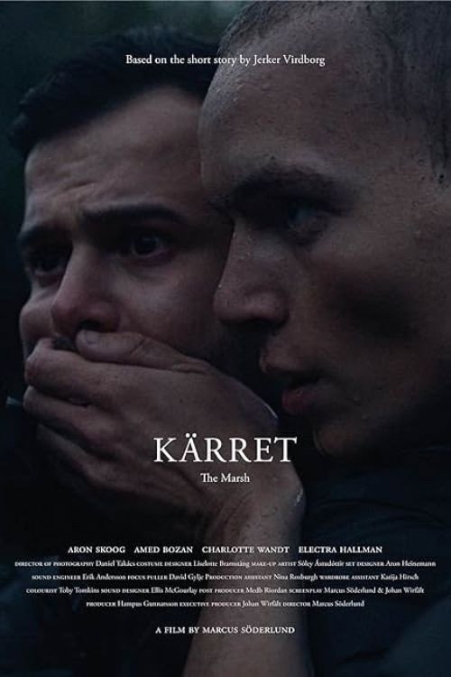 Movie poster for The Marsh (2022)