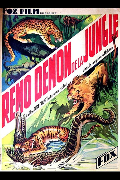 Movie poster for Devil Tiger (1934)