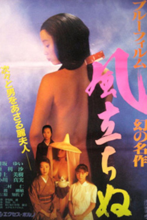Movie poster for Blue Film Masterpiece: The Wind Rises (1991)