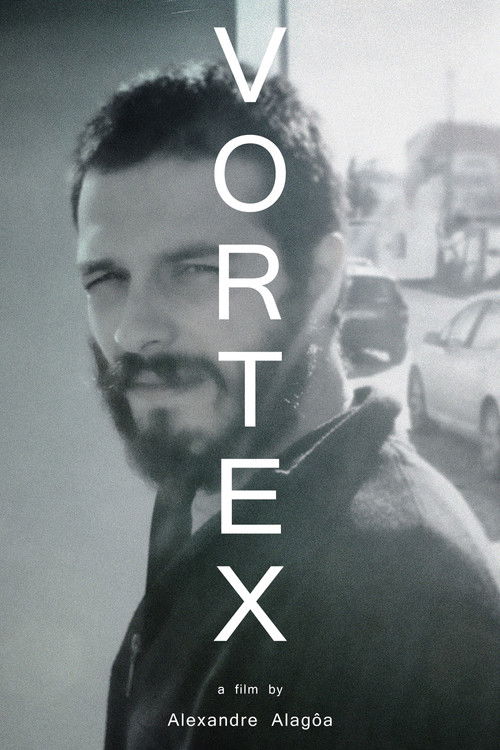 Movie poster for Vortex (2017)