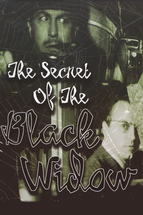 Movie poster for The Secret of the Black Widow (1963)