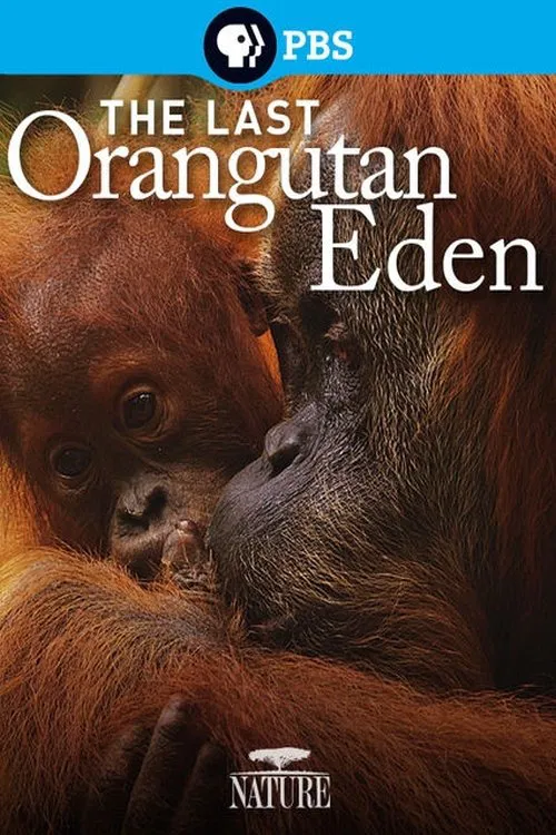 Movie poster for The Last Orangutan Eden