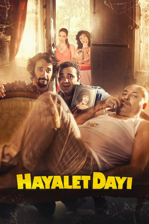 Movie poster for Hayalet Dayı (2015)