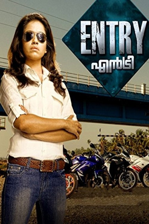 Movie poster for Entry (2013)