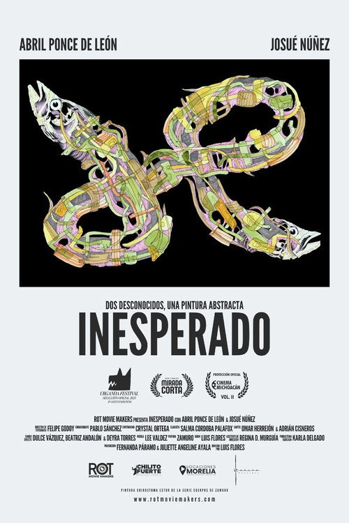 Movie poster for Inesperado (2025)