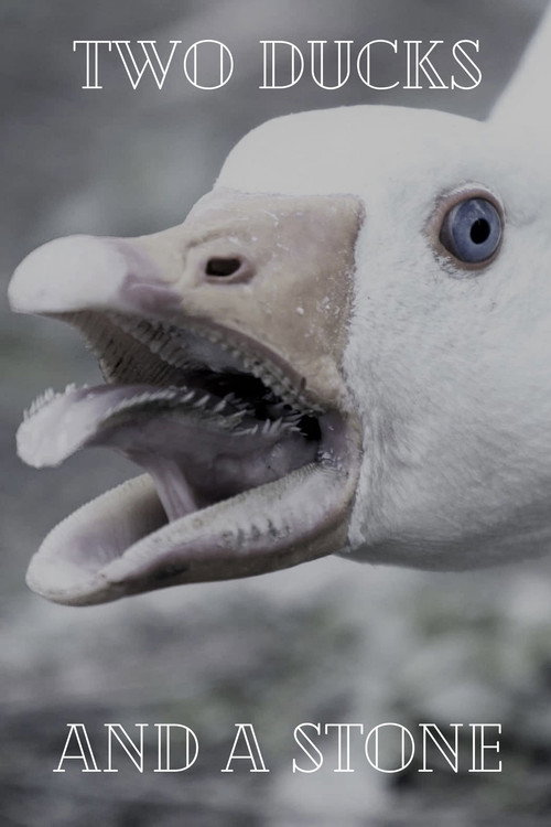 Movie poster for Two Ducks and a Stone