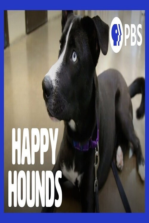 Movie poster for Happy Hounds (2020)