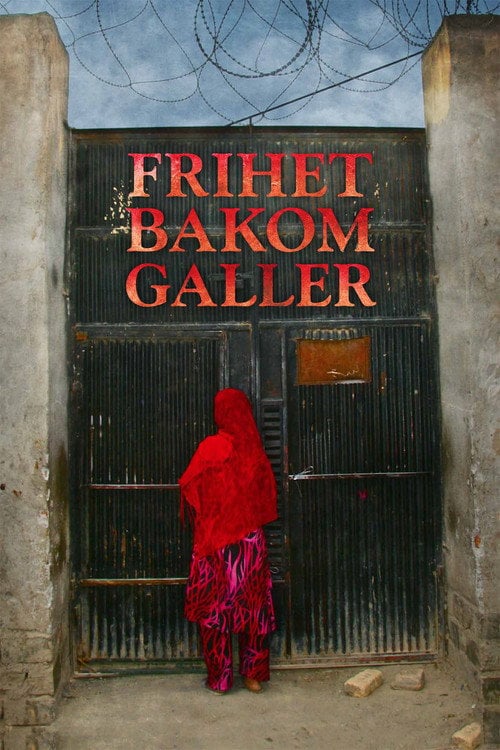 Movie poster for No Burqas Behind Bars (2013)