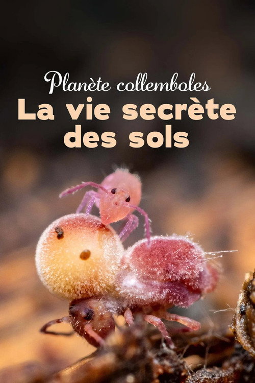 Movie poster for Springtails: The hidden soldiers of Earth (2024)