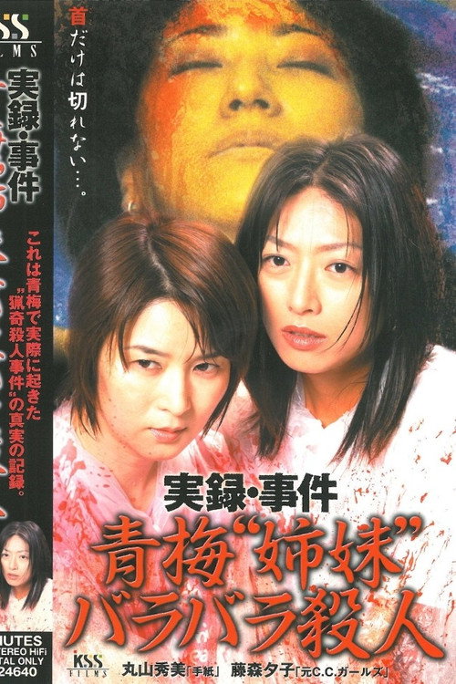 Movie poster for True Record: Incident - Ome "Sisters" Dismemberment Murder (2004)