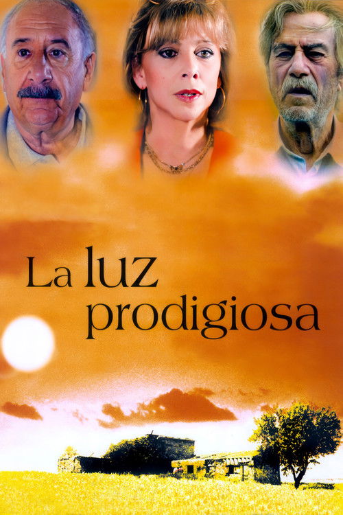Movie poster for The End of a Mystery (2003)