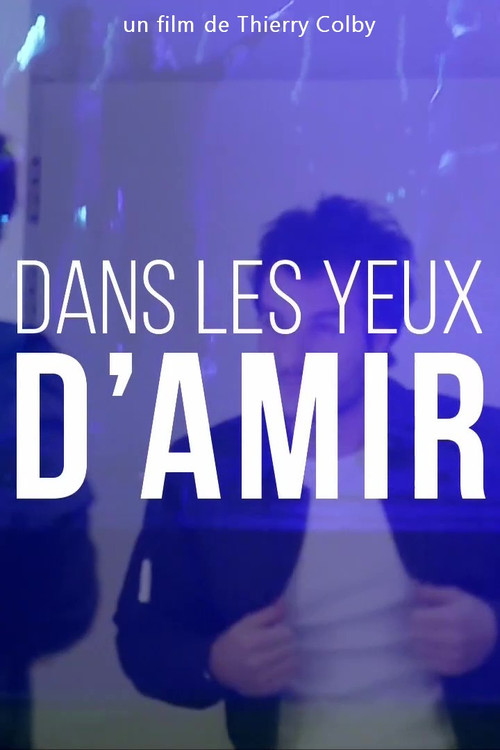 Movie poster for Dans les yeux d'Amir (2018)