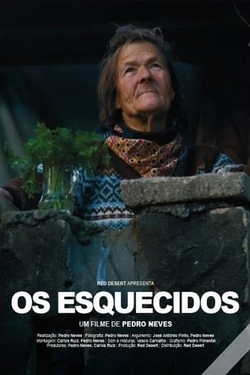 Movie poster for Os Esquecidos (2008)