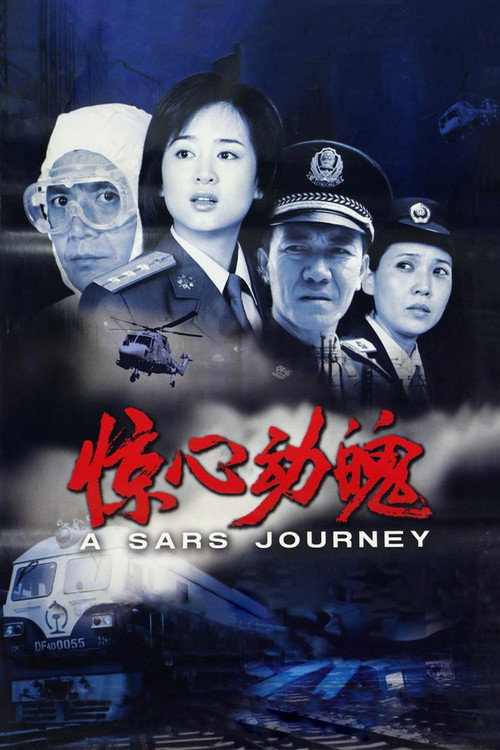Movie poster for A SARS Journey (2003)