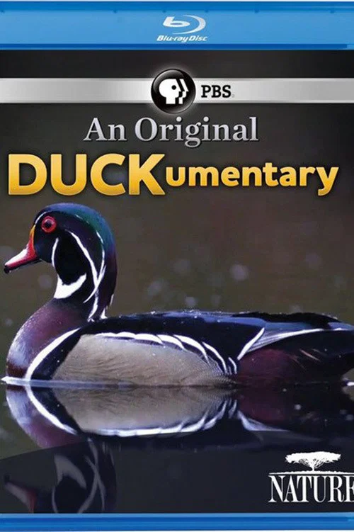 Movie poster for PBS Nature - An Original DUCKumentary (2012)