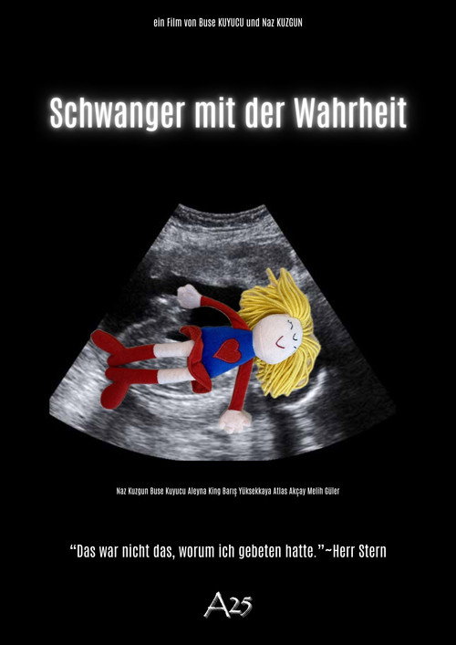Movie poster for Pregnant with the Truth (2025)
