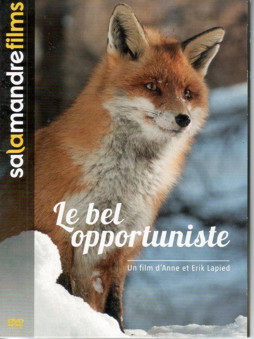 Movie poster for The Beautiful Opportunist (2015)