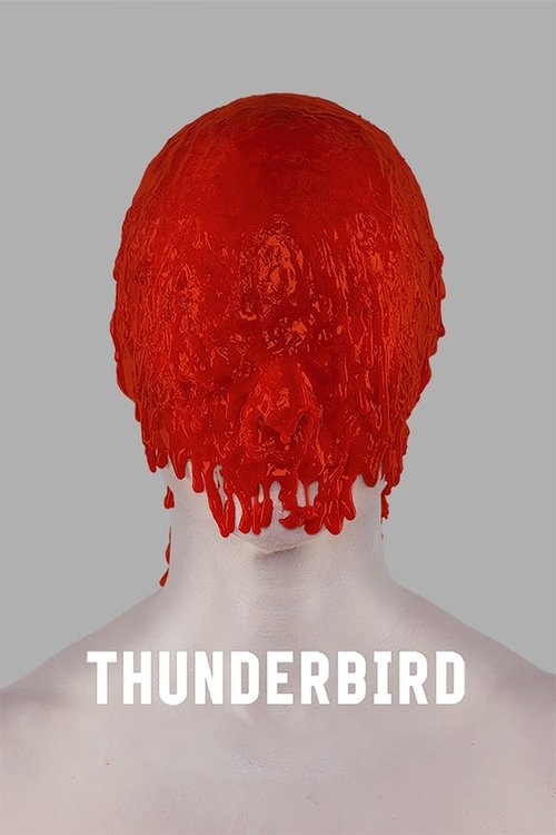 Movie poster for Thunderbird (2019)